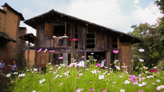 第二届厦地影像公益培训招生启动