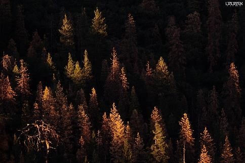 EIZO修图体验及色彩管理-北美旅拍作品分享 ——EIZO X Datacolor色彩管理在线课程