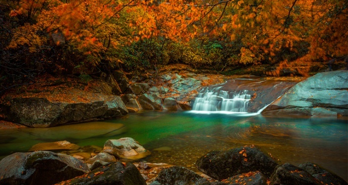 远山红叶·游学院光雾山红叶节深度摄影