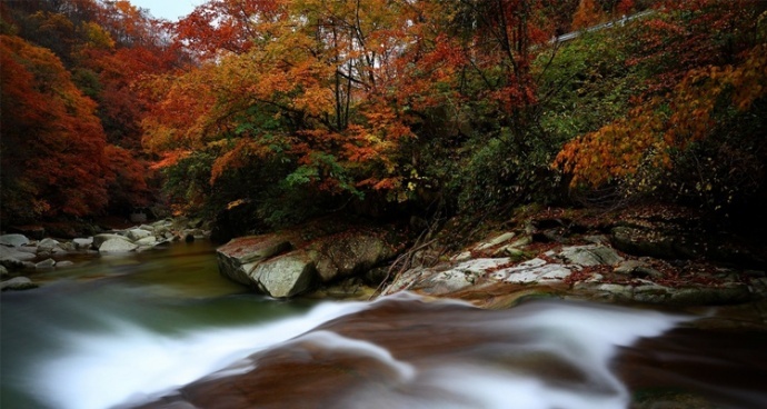 远山红叶·游学院光雾山红叶节深度摄影