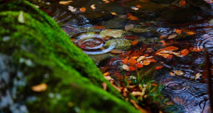 远山红叶·游学院光雾山红叶节深度摄影