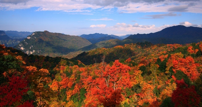 远山红叶·游学院光雾山红叶节深度摄影