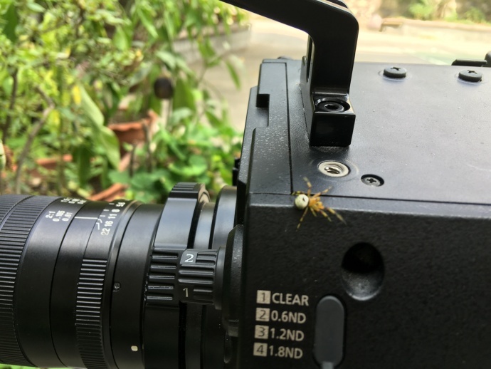 松下VariCam LT拍摄微距,感受强大的原生ISO 5000！