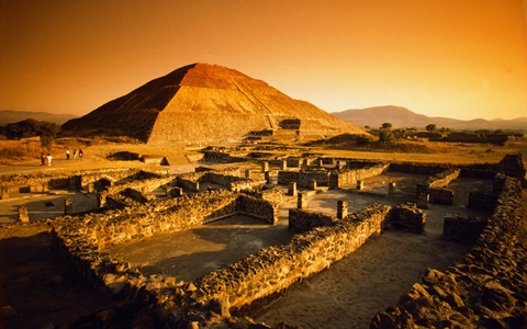 ​游学院美国西岸墨西哥赏蝶观鲸