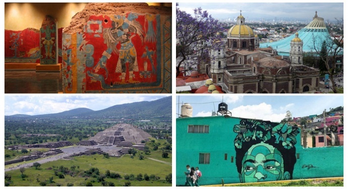 ​游学院美国西岸墨西哥赏蝶观鲸