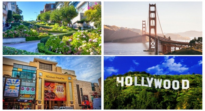 ​游学院美国西岸墨西哥赏蝶观鲸