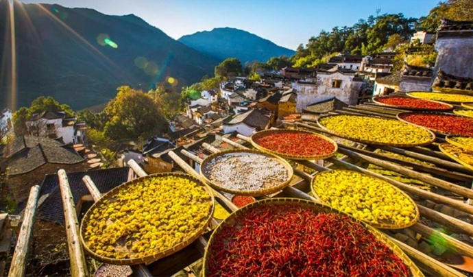 金秋皖南·游学院婺源人像摄影创作