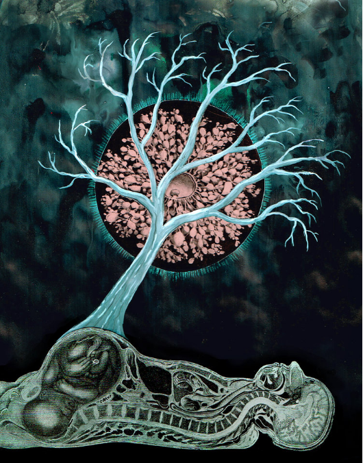 恐怖电影长片《婴灵奇谭》演员招募计划