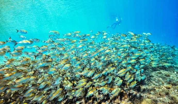 ​千里长沙·游学院零距离西沙游轮采风之旅