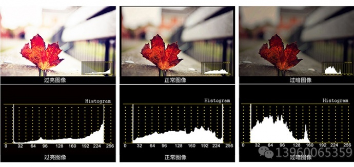 Feelworld 富威德监视器 FW1018SP 10寸带直方图 摄影导演监视器 3G-SDI高清监视器