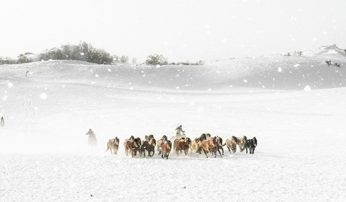 游摄浓冬·游学院坝上蒸汽火车冬捕银驼节