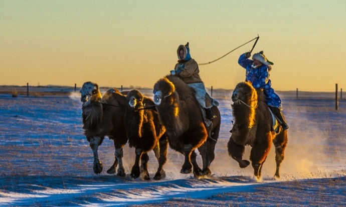 游摄浓冬·游学院坝上蒸汽火车冬捕银驼节