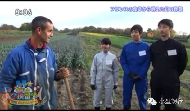 小型日报 |《青春美味交换留学 日法美食的挑战者们》