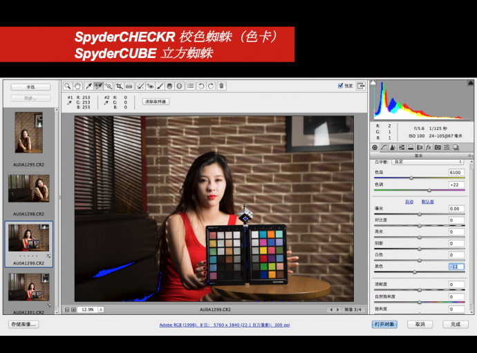 在线课程回放|还原真我色彩,留住看见的影像 ——EPSON X Datacolor蜘蛛色彩管理在线课程