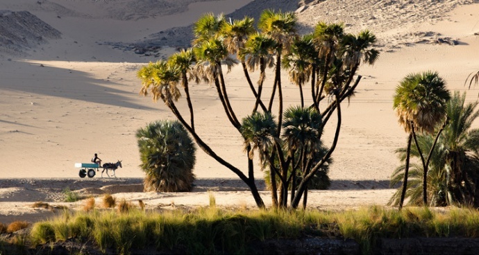 灿烂千年·游学院埃及追溯古文明摄影游