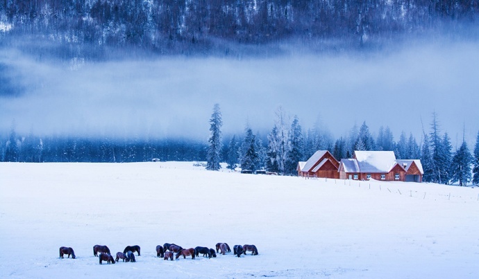 ​冷酷仙境·游学院新疆禾木喀纳斯冬日盛宴