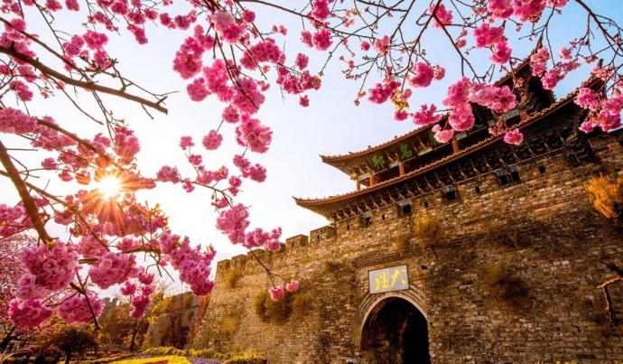 心花路放·游学院大理丽江中甸全景深度游