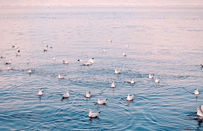 心花路放·游学院大理丽江中甸全景深度游