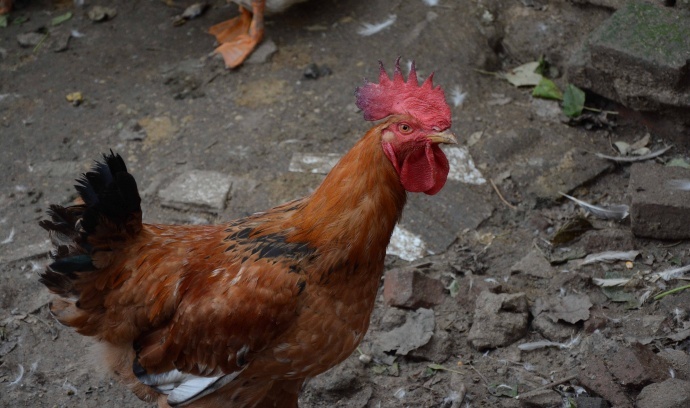 调色，光影的舞者之电影质感以及与摄影的关系