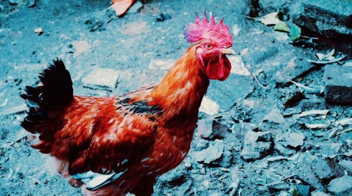 调色，光影的舞者之电影质感以及与摄影的关系