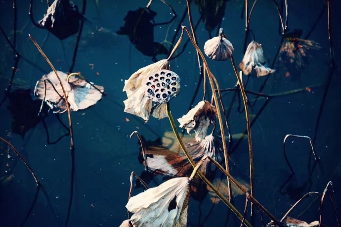 调色，光影的舞者之电影质感以及与摄影的关系