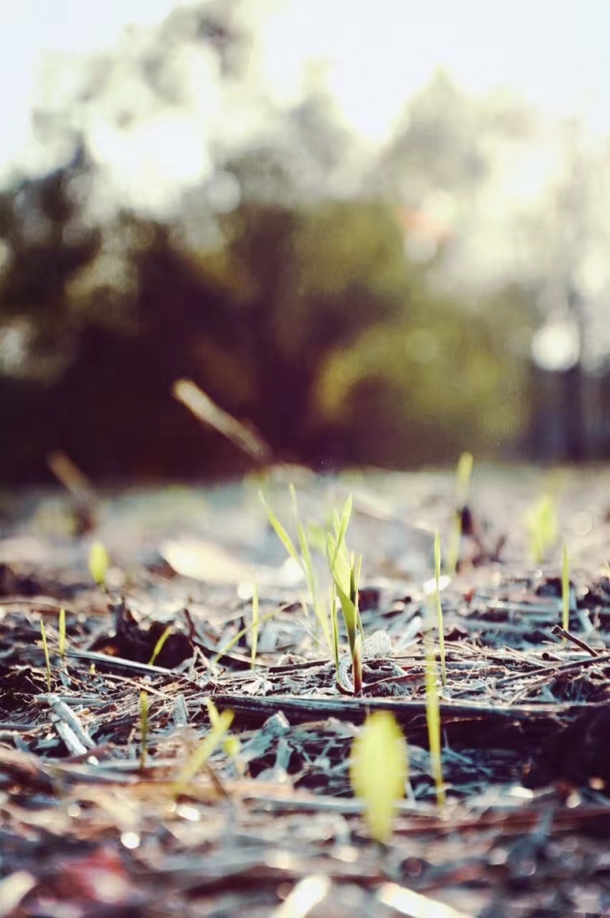 调色，光影的舞者之电影质感以及与摄影的关系