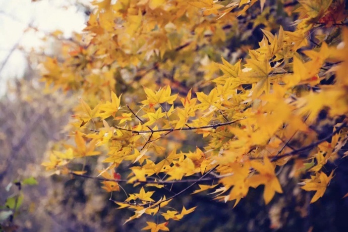 调色，光影的舞者之电影质感以及与摄影的关系