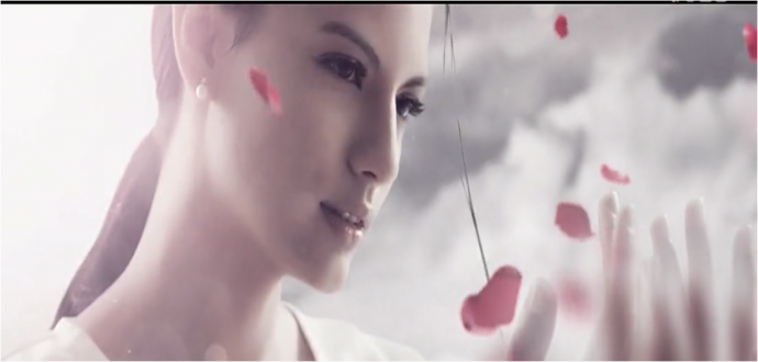 丰享健康 美丽源泉 ——某某国际企业宣传片策划方案