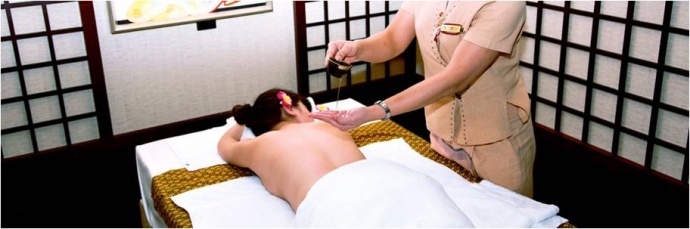 丰享健康 美丽源泉 ——某某国际企业宣传片策划方案