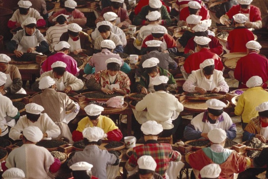 外国人眼中八十年代的中国