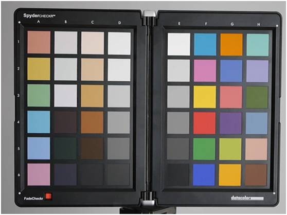 老司机带带我之情人节花样开车修肤色