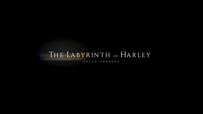 《影视工业网“飞熊杯”——The Labyrinth of Harley》