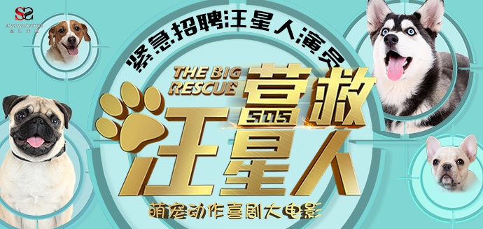 电影《营救汪星人》全国急招百只萌犬演员