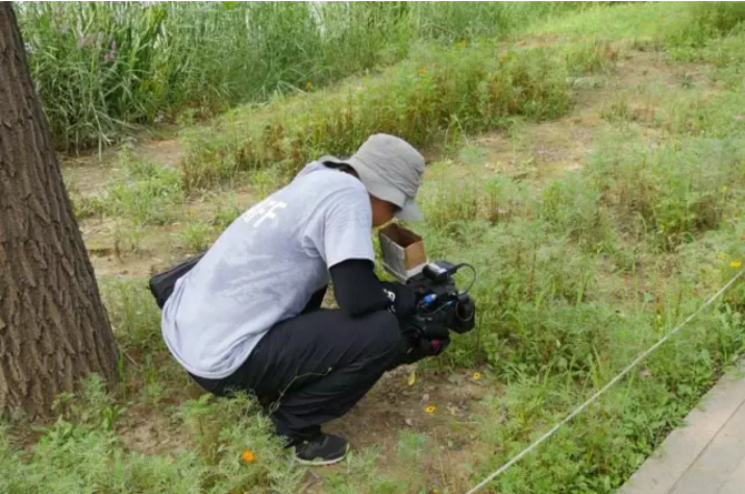 电影效果的印证—DVX200拍摄减肥瘦身类真人秀《肉肉》