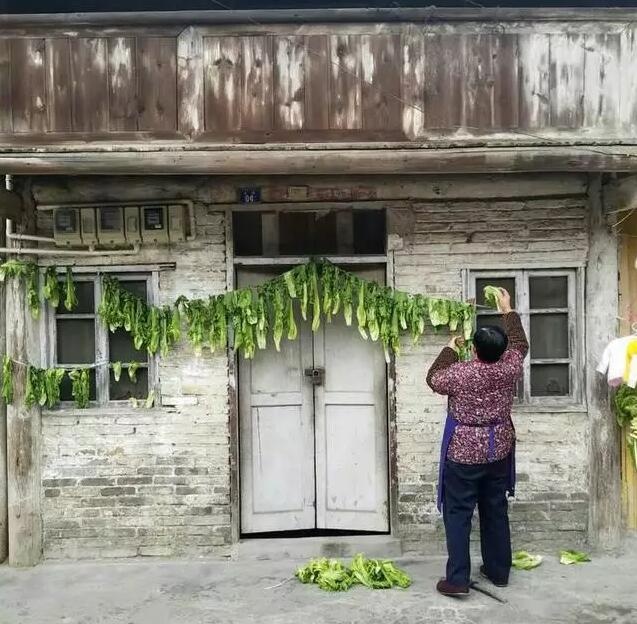 罗目古镇VR拍摄现场记