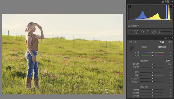 朋友圈摄影大赛必杀技之调色杀-1