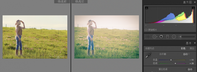 朋友圈摄影大赛必杀技之调色杀-1