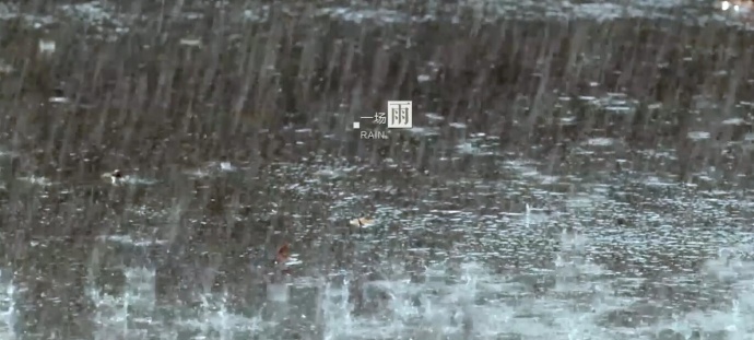 旗袍是一首女人的诗