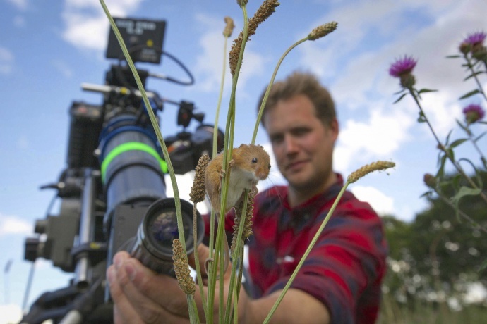 野生动物摄影师的自白，解析BBC如何拍摄野生世界