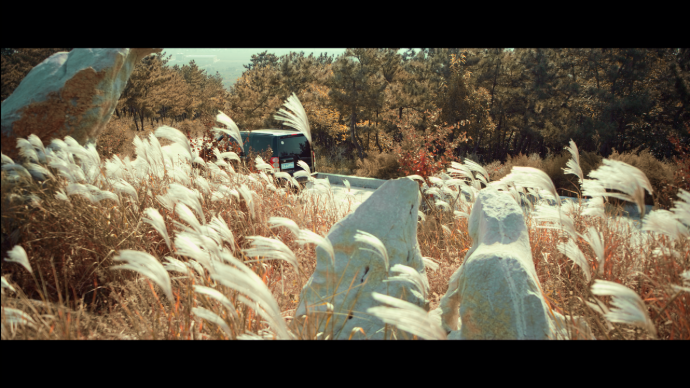 《暗徒》调色：一次悬疑与压抑 冷与暖对比 绘画感深入感知的体验