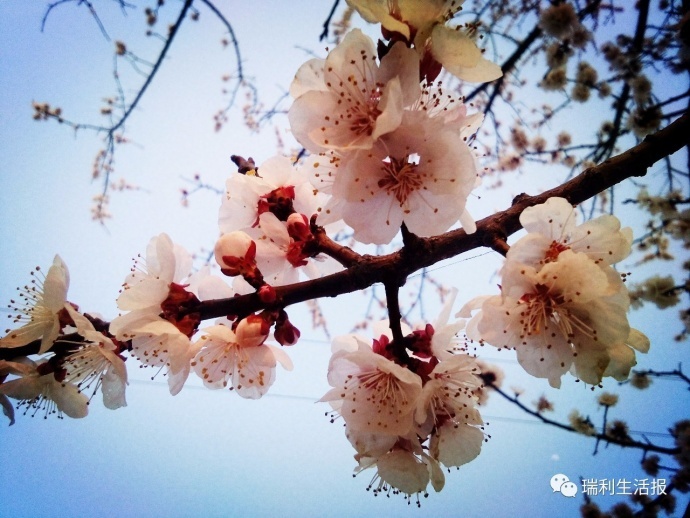 姜瑞利在忻州拍电影了