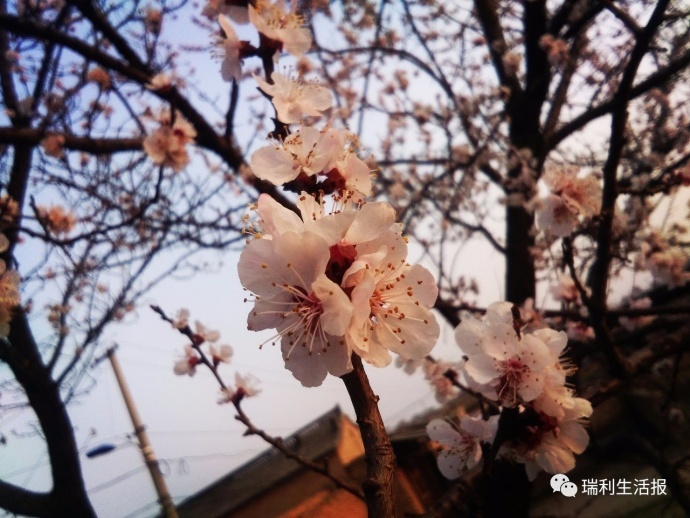 姜瑞利在忻州拍电影了