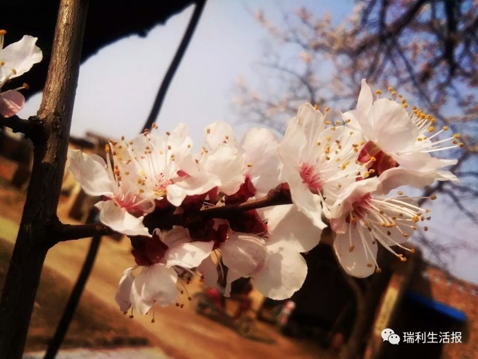 姜瑞利在忻州拍电影了