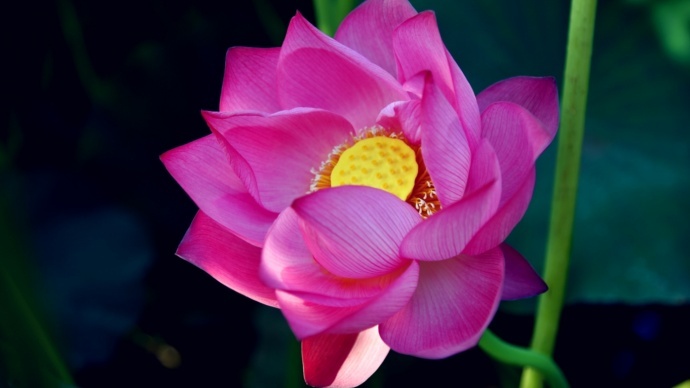 带着诗和远方流浪