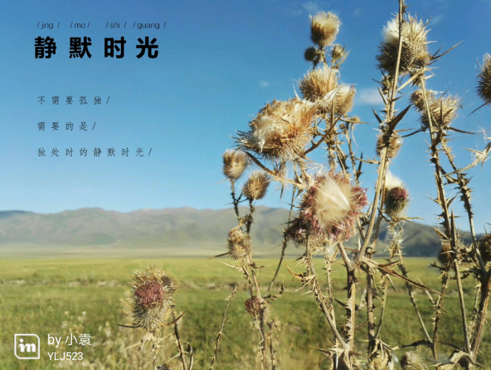 带着诗和远方流浪