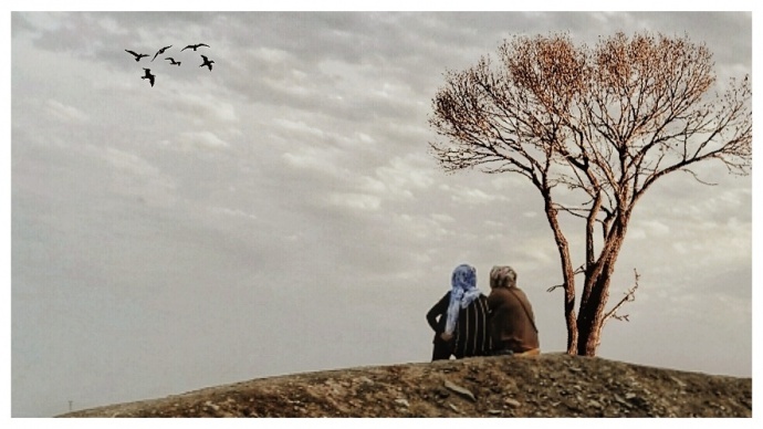 带着诗和远方流浪