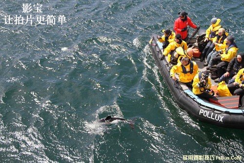 到两极拍摄你需要哪些的装备