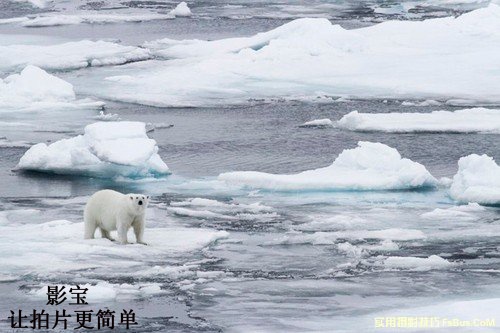 到两极拍摄你需要哪些的装备
