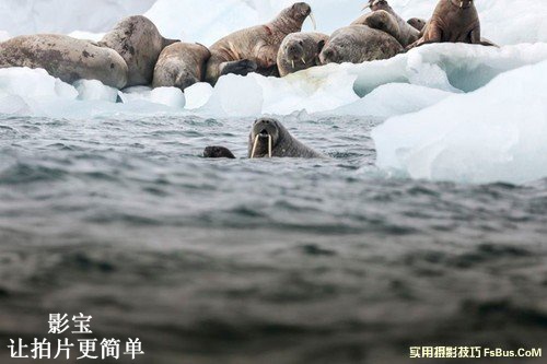 到两极拍摄你需要哪些的装备