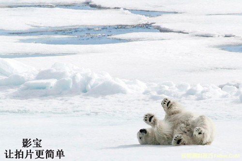 到两极拍摄你需要哪些的装备
